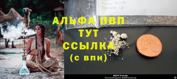 прущая мука Арсеньев