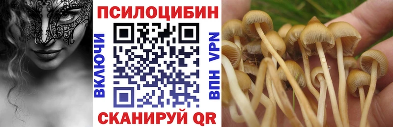 Галлюциногенные грибы Magic Shrooms  Багратионовск 