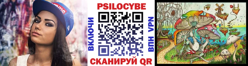 Галлюциногенные грибы прущие грибы Багратионовск